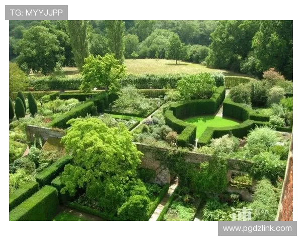 pg娱乐网娱乐官网积极响应国家政策，推动绿色健康娱乐环境的建设与发展