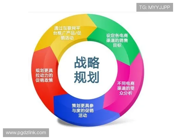 星空电子PG官网网址优化策略提升品牌影响力