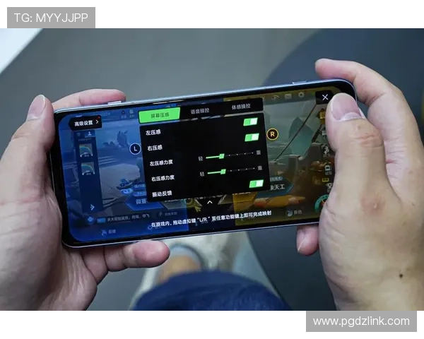 最新消息：PG娱乐网页版登录入口全面升级，提供更稳定流畅的游戏体验和多样化的娱乐选择