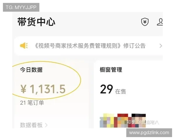 PG赚钱网站最新版操作流程详解，帮助新手快速上手实现收益最大化