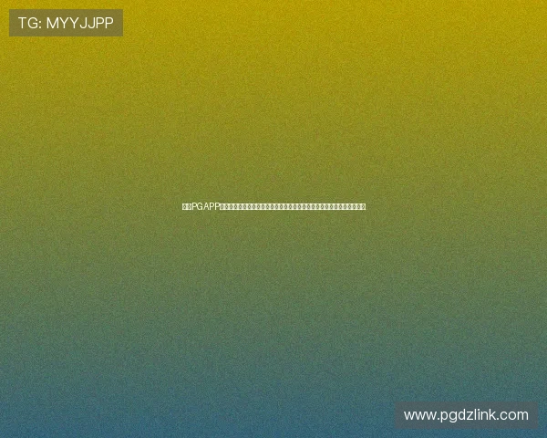 电子PGAPP安全性分析与隐私保护措施保障玩家个人信息安全与账号安全的全面解读